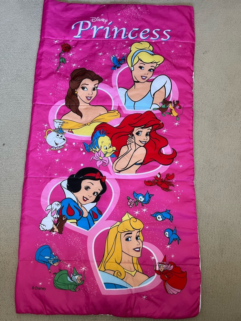 Disney Princess Hot Pink Sleeping Bag with Multicolor Character Art